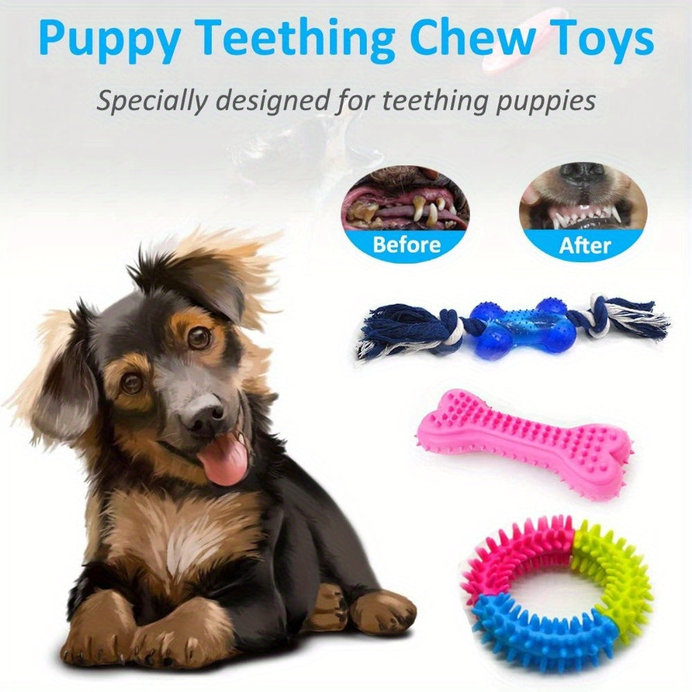 Dog Chew Toy Set Assortment (15-Pack)