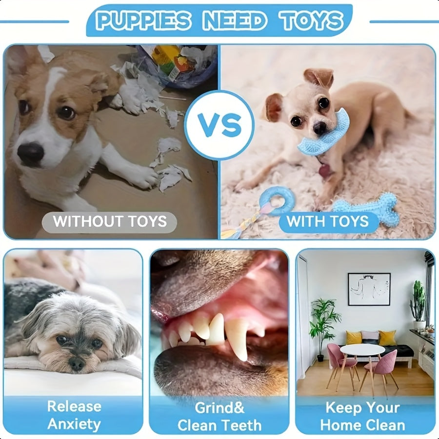 NNETM Series Dog Chew Toy Set (16pcs)