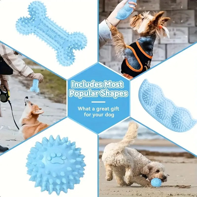 NNETM Series Dog Chew Toy Set (16pcs)